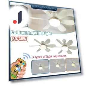 Smart Ceiling Fan with LED Lighting — Ceiling Fan Lighting Solutions, Sea Global