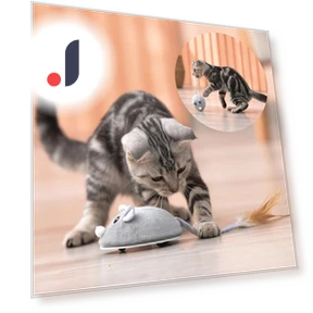 Smart Electric Mouse Toy — Cat Playthings, Pet Zooo