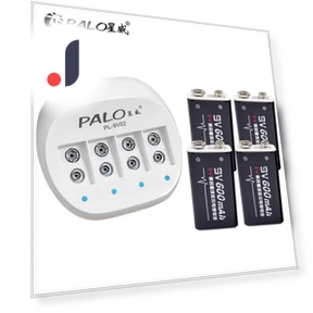 Smart LED Display Charger for Lithium Battery — Chargers, PALO