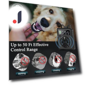 Ultrasonic Anti-Bark Device for Dogs — Sonic Deterrents, Pet park
