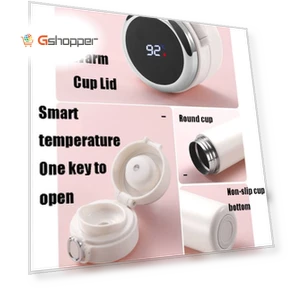 Smart Temperature Display Vacuum Flask — Flasks
