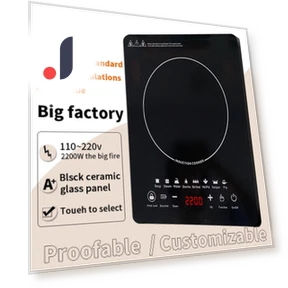 Induction Cooktop — Cooking Surfaces, DZL General Home Appliances