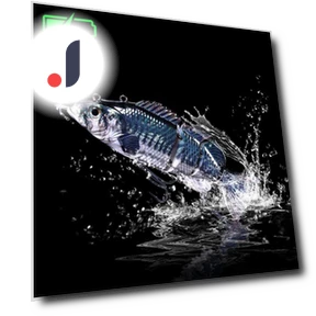 Robotic Fishing Lure — Reels, leayond