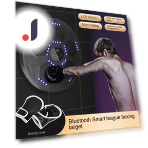 Smart Bluetooth Music Boxing Trainer — Boxing Training Gear, Binchi Outdoor Equipment