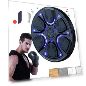 Smart Music Boxing Trainer — Boxing Training Gear, Binchi Keji Travel