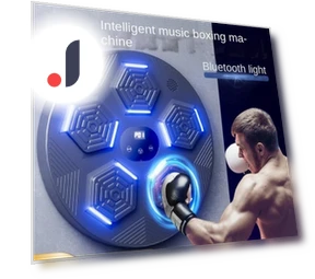 Smart Musical Boxing Target — Home Gyms, Binchi Outdoor Equipment