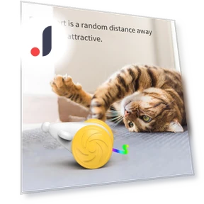 Automatic Cat Toy — Cat Playthings, Pet Zooo