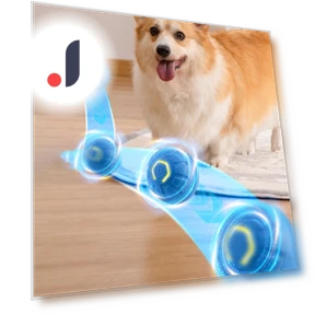 Automatic Rolling Pet Toy — Exercise Wheels, Exquisite pets
