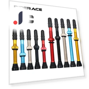 Bicycle Vacuum Air Valve — Bike Valve Protectors, Riderace Sports