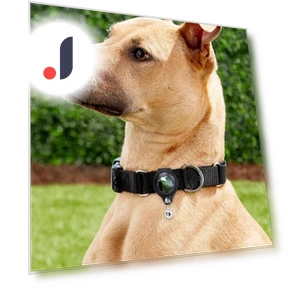 Classic Protective Pet Case for AirTag — Trackers, Cuperay