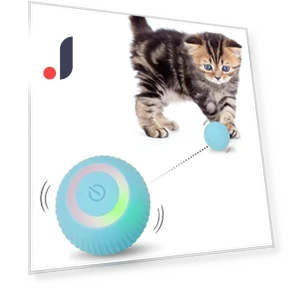 Interactive Cat Toy Ball — Cat Playthings, Holland Lec