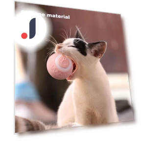 Interactive Pet Toy Ball — Cat Playthings, My Pet BOBO