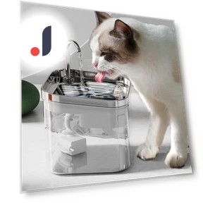 Professional Cat Water Fountain — Pet Hydration Solutions, Cuperay