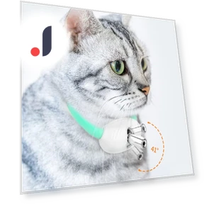 Smart teasing collar for cats — Cat Playthings, Salted Chicken