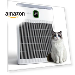 Air Purifier for Home — Activated Carbon Air Purifiers, Trucozie Home