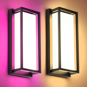 Smart Porch Lights Color Changing Exterior Lighting Fixtures, RAYVO