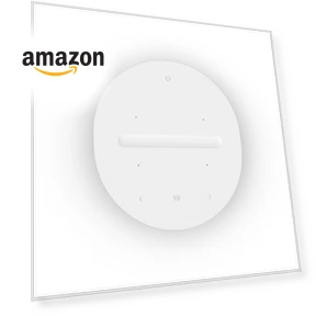 Wireless Smart Speaker — Built-In Audio Solutions, Sonos