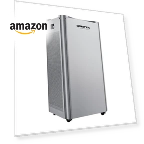 Large Room Air Purifier — Activated Carbon Air Purifiers, BSMTEK