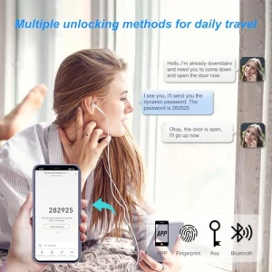 Keyless Entry Door Lock — Smart Lock, Goluckog
