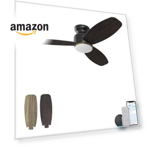 Smart Flush Mount Ceiling Fan with Lights — Ceiling Fan Wall Controls, CEME