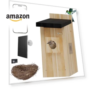 Smart Bird House with Camera — Outdoor & Wildlife Cameras, Hiyiton