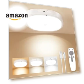 Rechargeable Motion Sensor Ceiling Light — Garden Illumination, KNHUOS