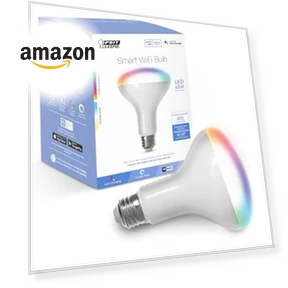 Smart Flood Light Bulb — LED, Feit Electric