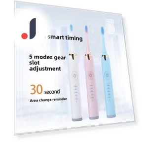 Smart Soft Electric Toothbrush — Electric Toothbrush Heads, Binchi Health Technology