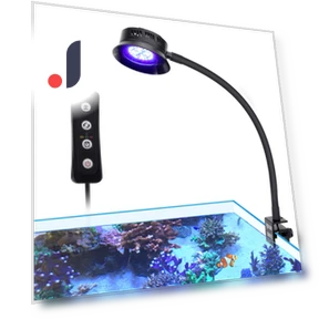 Coral Aquarium Saltwater Light — Lights, hygger