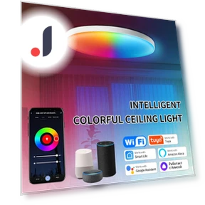 Smart WiFi Ceiling Light — Overhead Lighting, Modern Home Furnishing