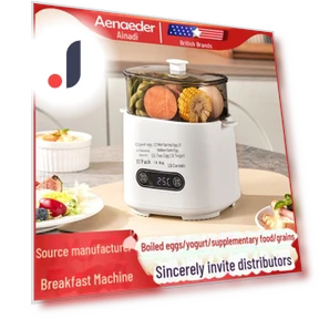 Mini Multi-Function Egg Cooker — Egg Cookers, ElectroCN
