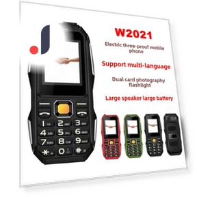 Protected Mobile Phone — Basic Cases, AI Supermarket