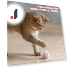 Smart Pet Toys — Balls, Mellowew