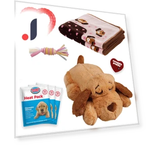 Smart Soft Toy for Puppies — Cameras & Monitors, Zen Picks