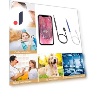 Smart Visual Ear Cleaner Endoscope Spoon — Syringes, Rejuvenationagp