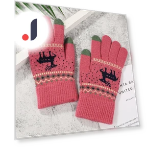 Winter Touchscreen Gloves — Gloves, One-point-three