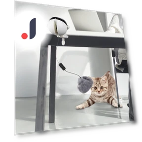 Interactive Cat Toy Puzzle — Cat Playthings, Modern Home Furnishing