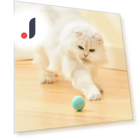 Rechargeable Automatic Rolling Interactive Dodge Ball — Cat Playthings