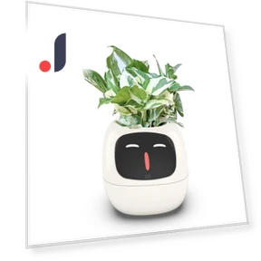 Smart Care Smart LED — Vases, Premium SPEED