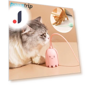 Smart Cat Toy — Cat Playthings, Pawstrip