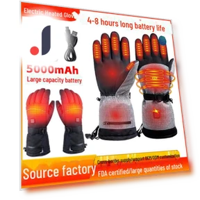 Smart Electric Heating Gloves — Gloves, Warm Land
