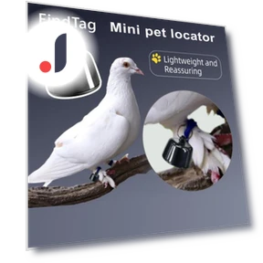 Smart Pet Collar — Trackers, Kitty Cat House