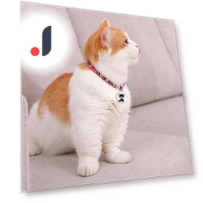 Universal Waterproof Mini GPS Tracker Collar — Item Locators, Good Household Items