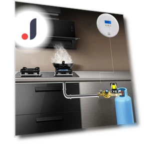 Digital Carbon Monoxide Detector — Carbon Monoxide Detectors, Good Household Items