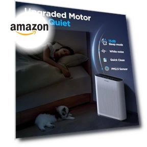 H13 HEPA Air Purifier — Activated Carbon Air Purifiers, Mooka