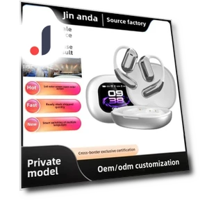 In-ear Headphones with LCD Display — In-Ear Headphones, Uav parts center