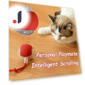 Interactive Cat Toy Ball — Cat Playthings, KITCHEN-MALL