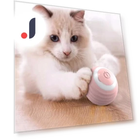 Smart Dog Toys — Automatic Launchers, Boyhood