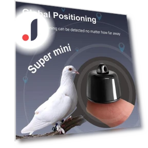 Smart Pet Collar — Trackers, Worry free storage