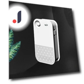Smart Sensor Pet Air Purifier and Deodorizer — Activated Carbon Air Purifiers, StrideBox